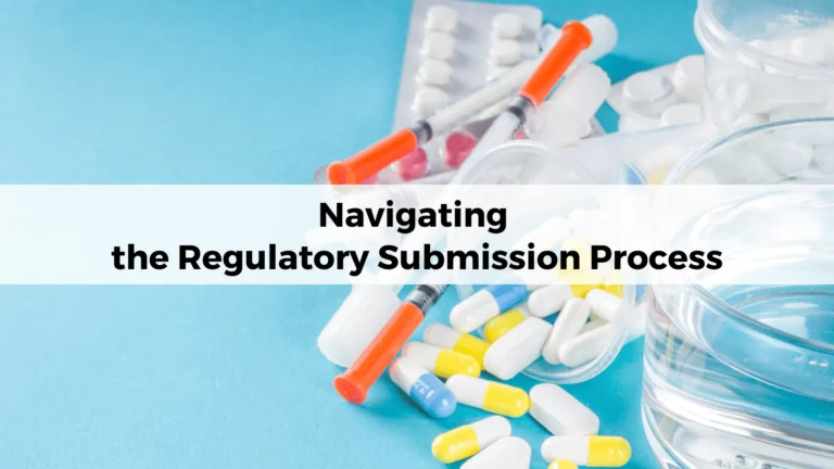 navigating-the-regulatory-submission-process-65df0d4116e3e